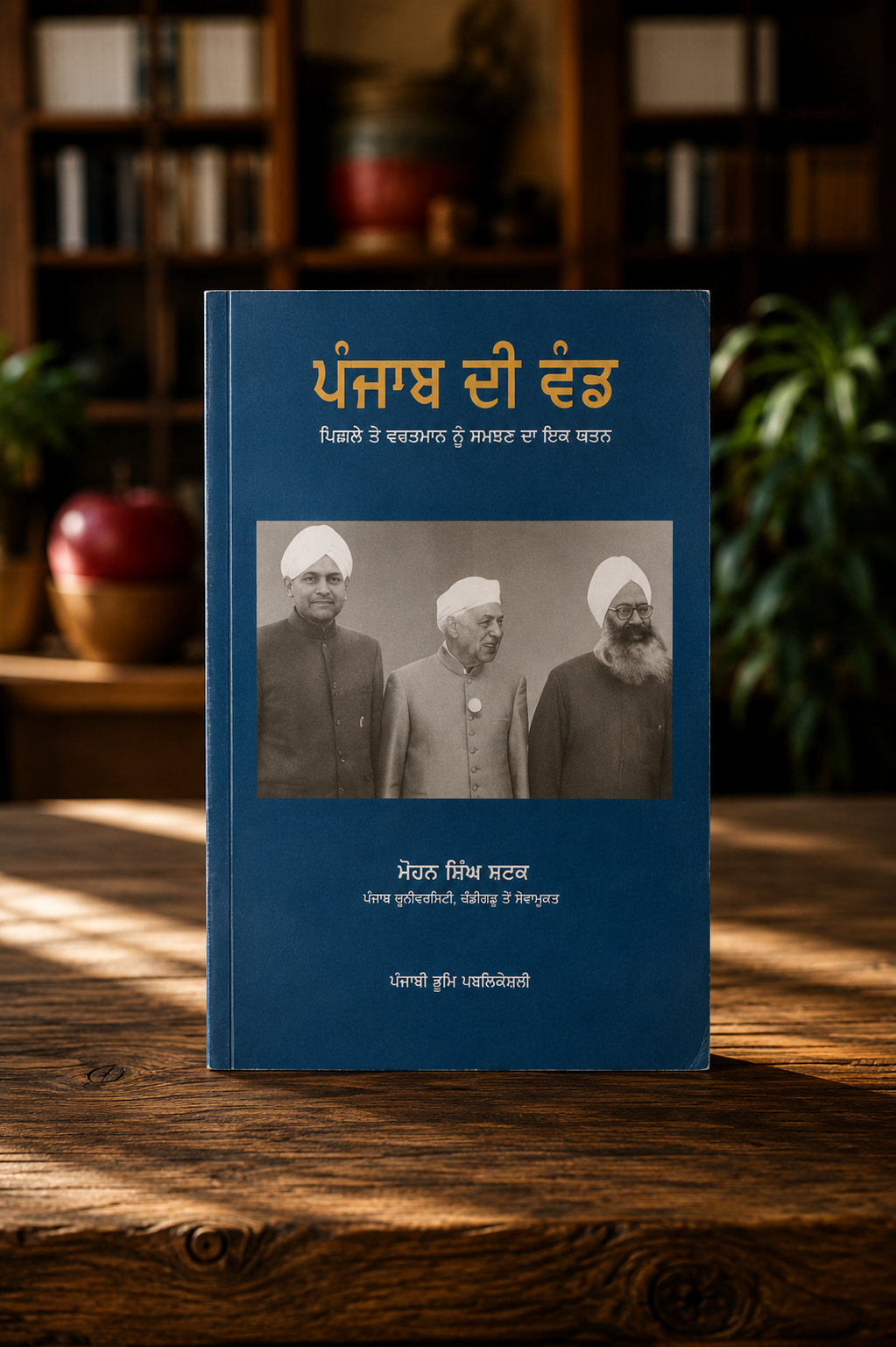 Punjab Di Wand (ਪੰਜਾਬ ਦੀ ਵੰਡ) Book - Pandit Mohan Lal
