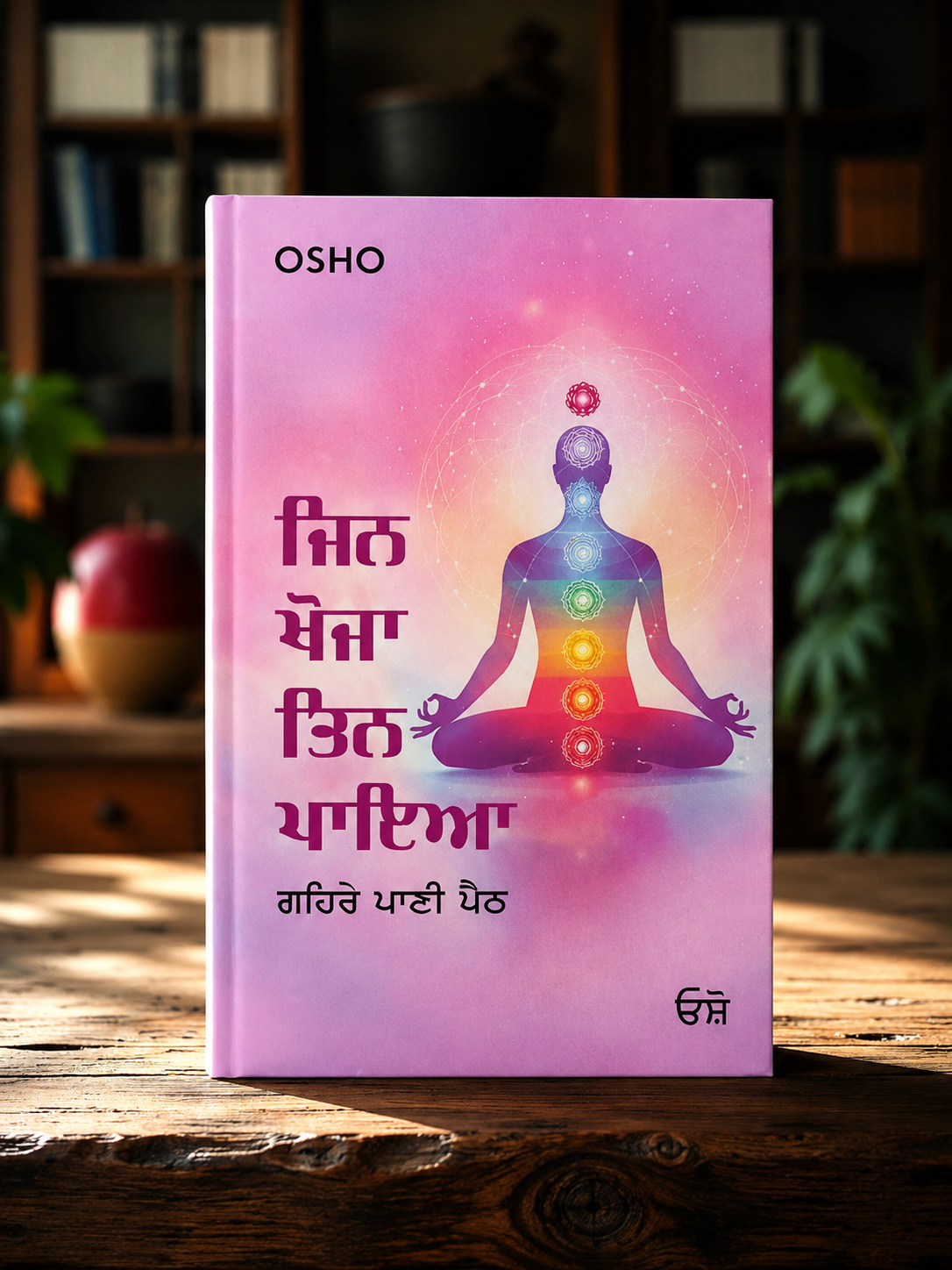Jin Khoja Tin Paya (ਜਿਨ ਖੋਜਾ ਤਿਨ ਪਾਇਆ) Book – Osho