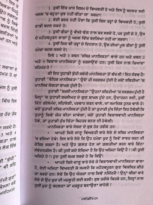 Mindset Book - DWECK DR CAROL S. (Punjabi)