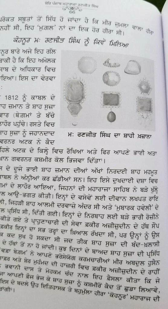 Maharaja Ranjit Singh Book (ਸ਼ੇਰ-ਏ-ਪੰਜਾਬ ਮਹਾਰਾਜਾ ਰਣਜੀਤ ਸਿੰਘ)