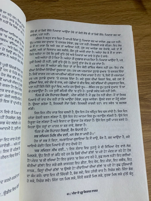 ਮੀਰਾ ਕੇ ਪ੍ਰਭੁ ਗਿਰਧਰ ਨਾਗਰ (Meera Ke Prabhu Girdhar Nagar) Book – Osho