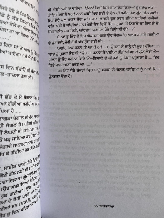 ਸੜਕਨਾਮਾ (Sadaknama) – Baldev Singh