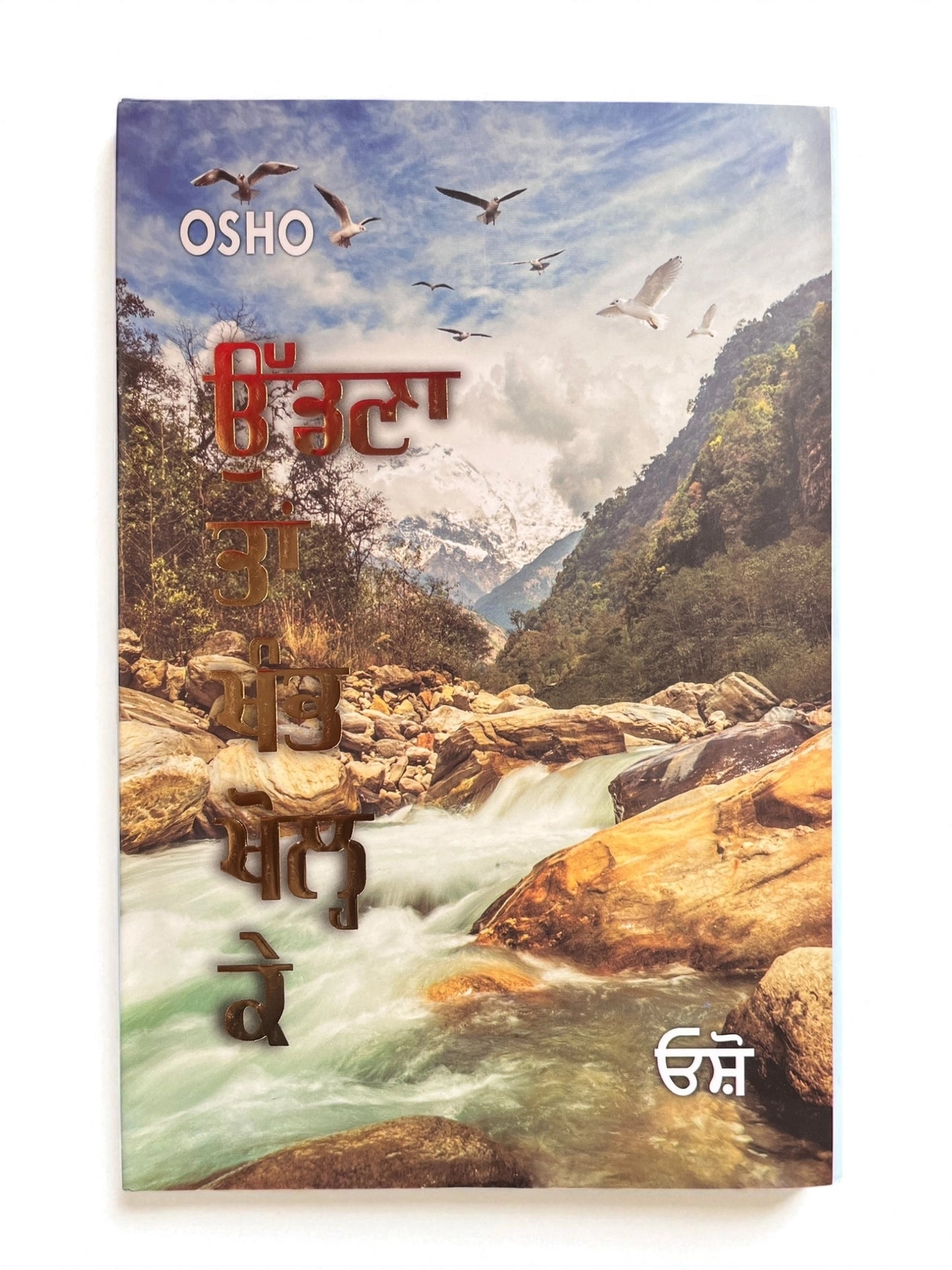 ਉੱਡਣਾ ਤਾਂ ਖੰਭ ਖੋਲ੍ਹ ਕੇ (Udna Taa Khamb Khol Ke) Book – Osho