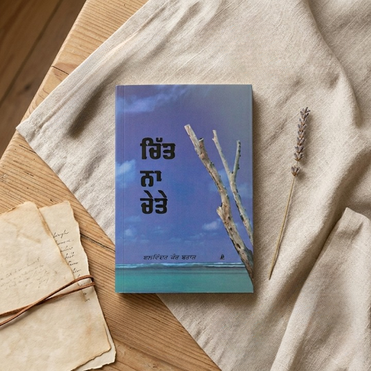 ਚਿੱਤ ਨਾ ਚੇਤੇ (Chit Na Chete) Book – Balwinder Kaur Brar